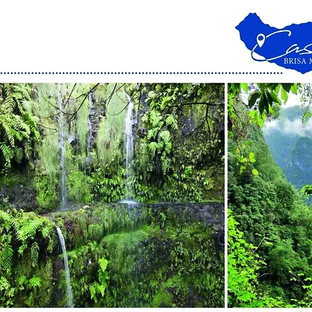 公寓 Casa Brisa Mar In